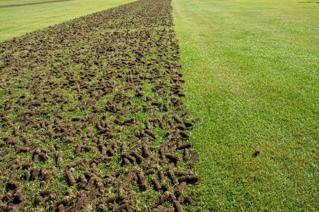 core-aeration-texas-services