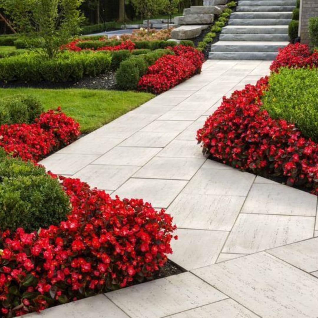 Learn How To Apply Color Theory To Your Garden | Innovation Grounds