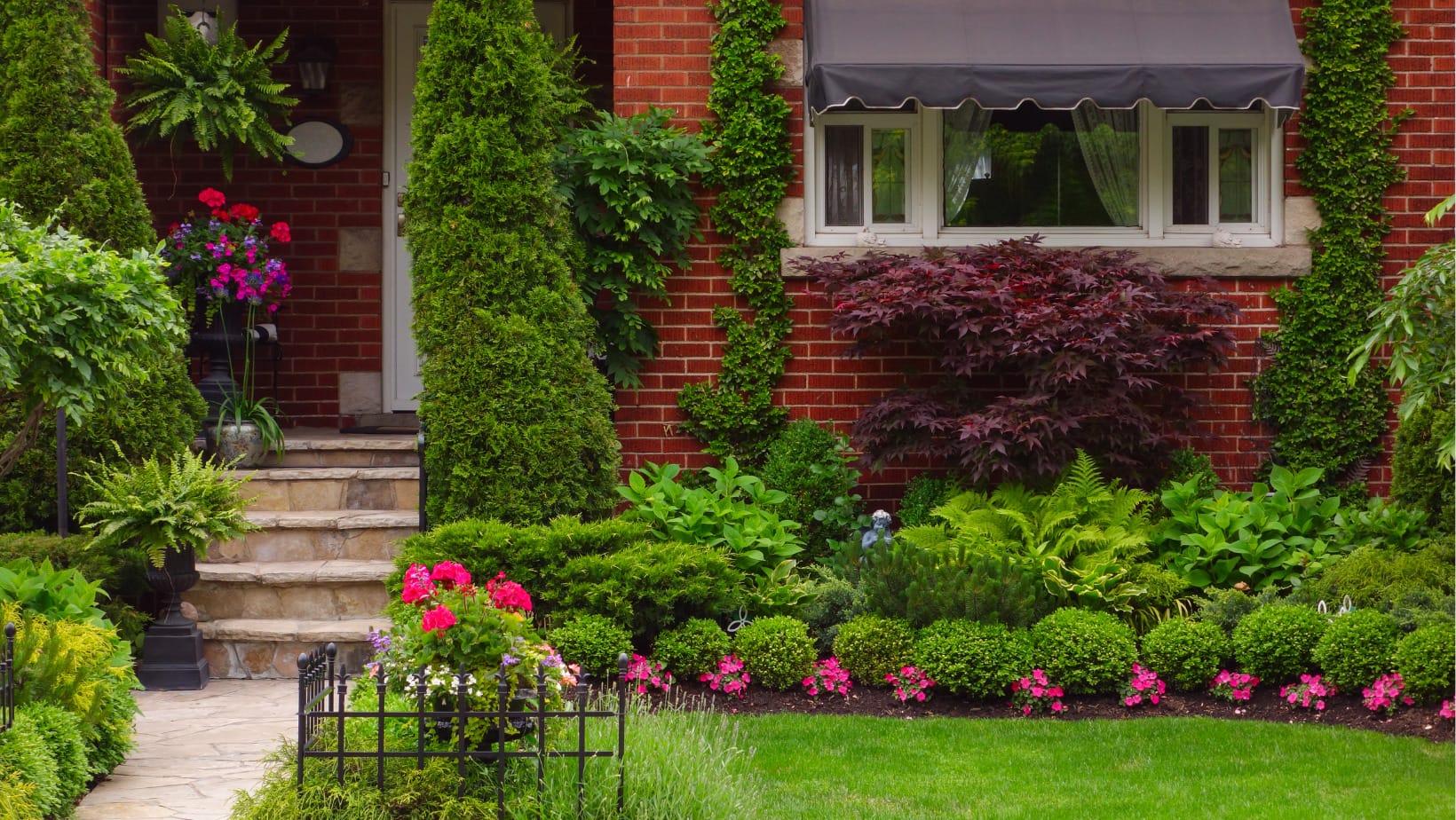 5 Trees To Plant Near Of Your House Innovation Grounds