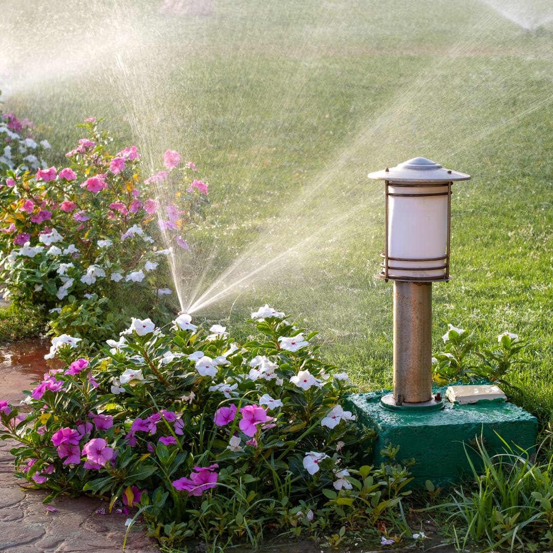 eco friendly irrigation installation by innovation grounds