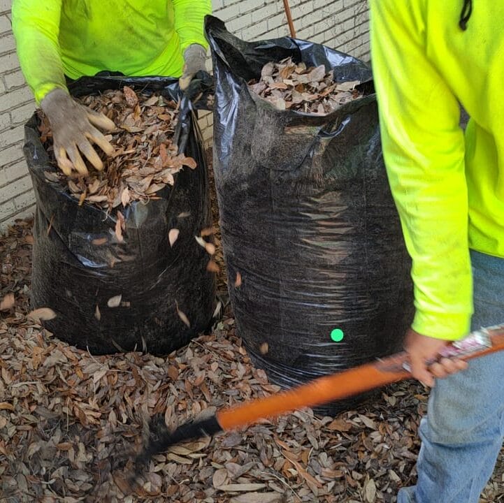 leaf cleanup in springville utah