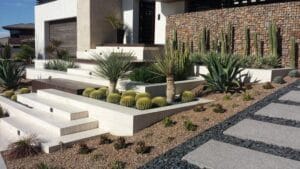 xeriscape-landscaping-ideas