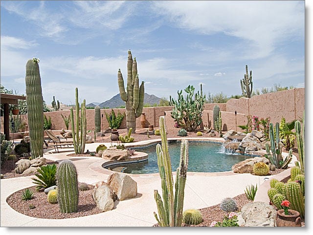 xeriscape-landscaping