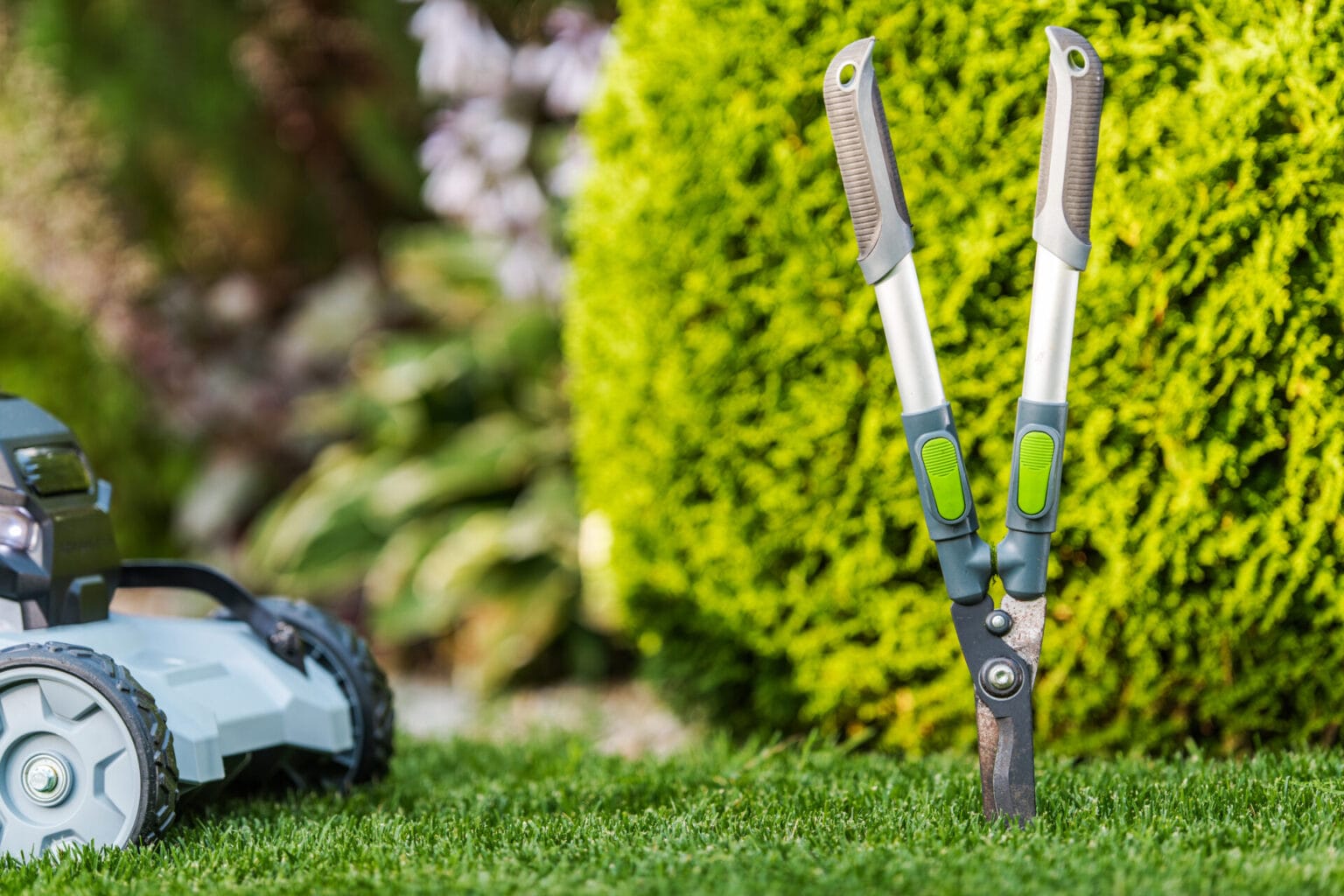 Mastering The Art Of Edging: Essential Lawn Care Tips For Texas ...