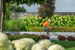 commercial-landscaping