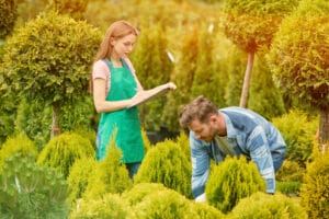 residential-landscaping-regulations