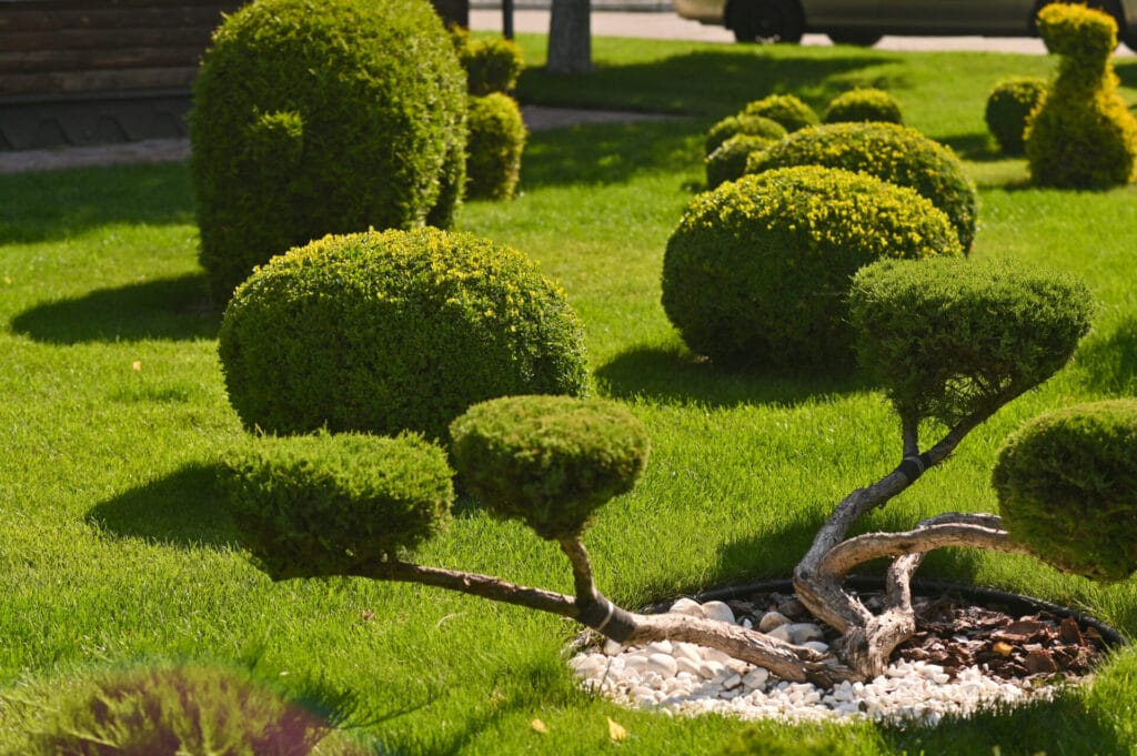 cutting-edge-design-concepts-landscape