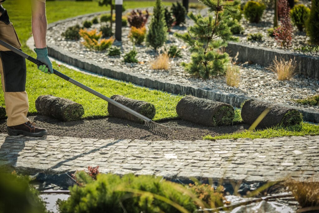 sod-installation-bioswale-backyard