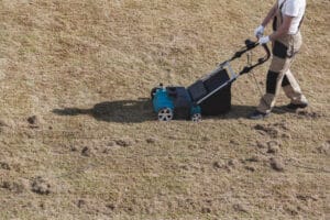 dethatching-mistakes