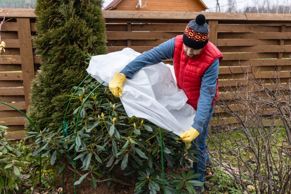 winter-preparation-backyard-cleanup