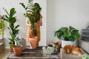 pet-safe-plants