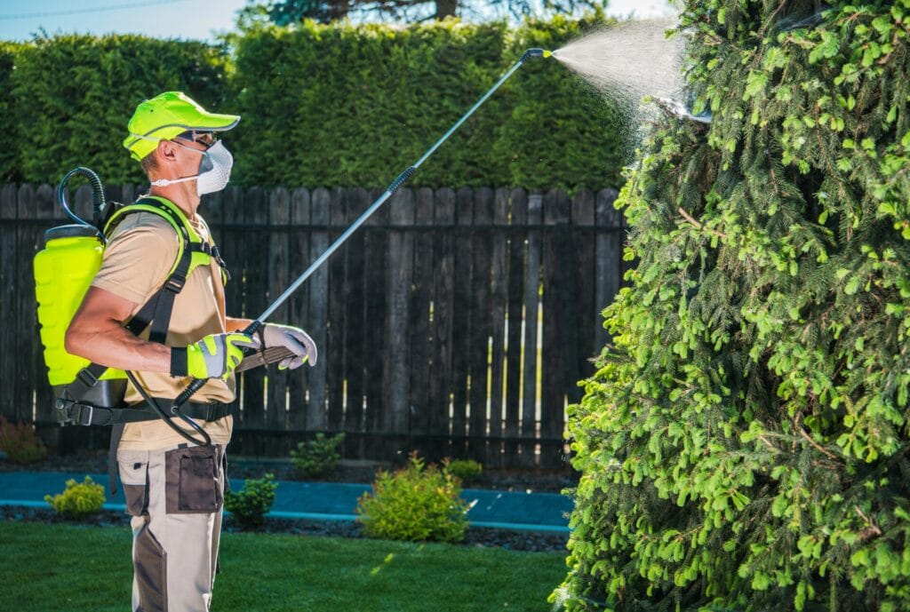 pest-control-insecticide
