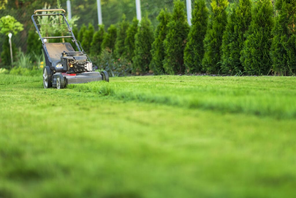 lawn mower 2023 11 27 05 25 24 utc