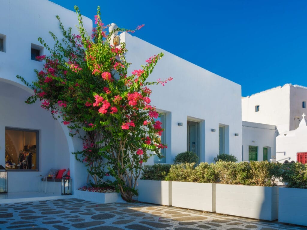 flower-bed-walls
