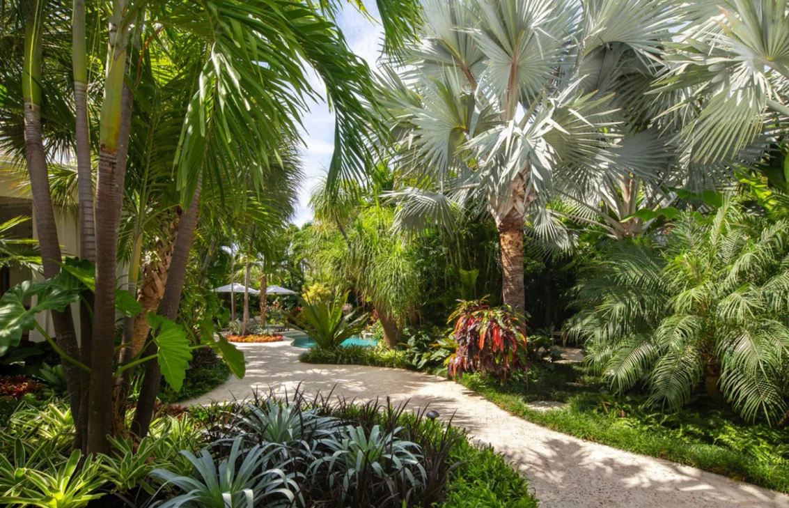 tropical landscaping in austin texas