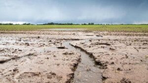 1 main soil erosion 3007 gnp 4585 c gary naylor