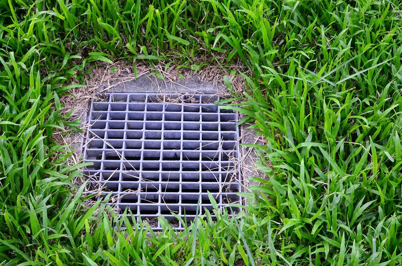 65cbb49e6b3df5e6e15916f3 lawn drain