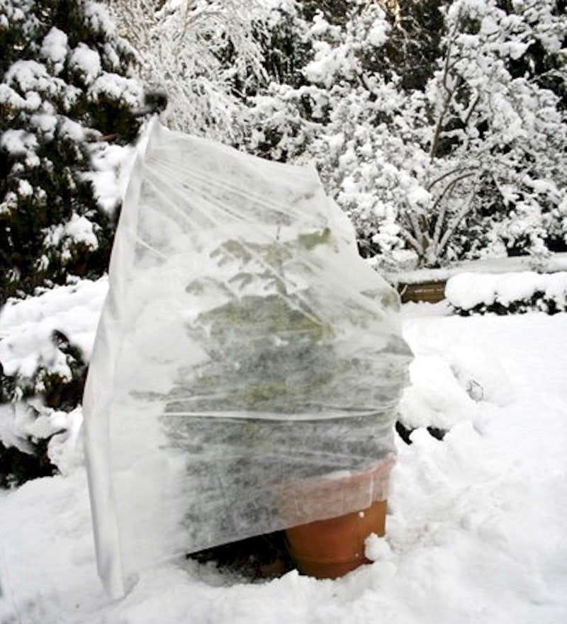 burlap plant protection winter garden hack