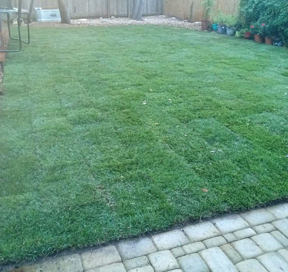 cedar park lawn