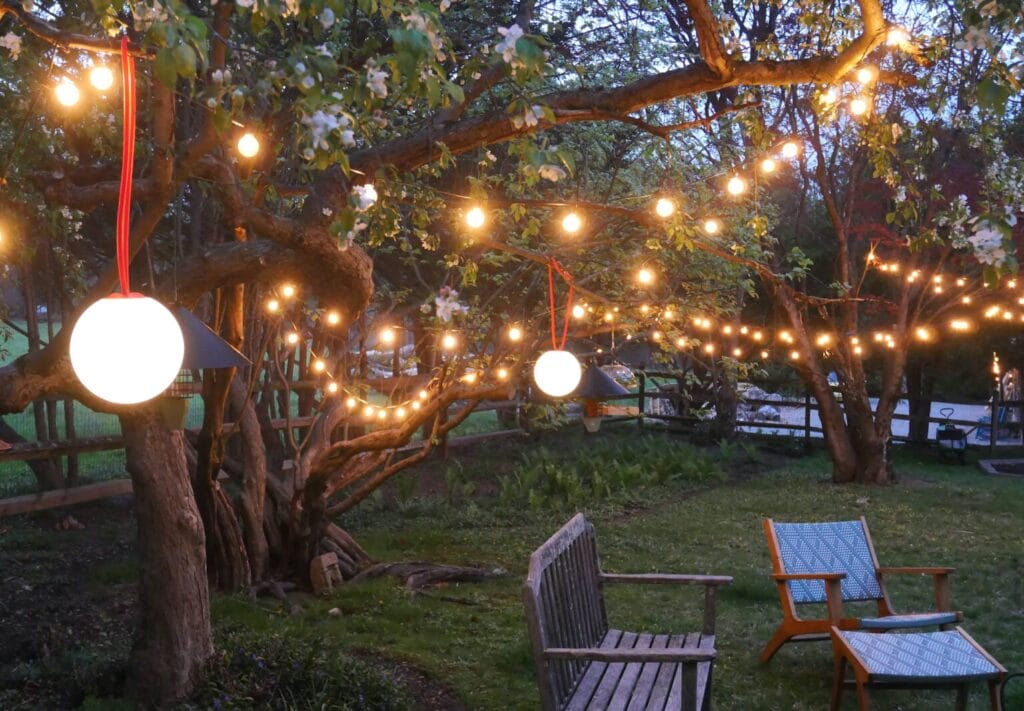 sally kohn backyard lights globes 1536x1066 1 1