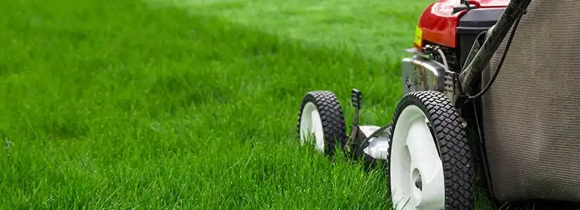 how high to mow your lawn