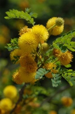 content img.1357.img