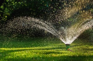 lawn watering tips embedded 575x375