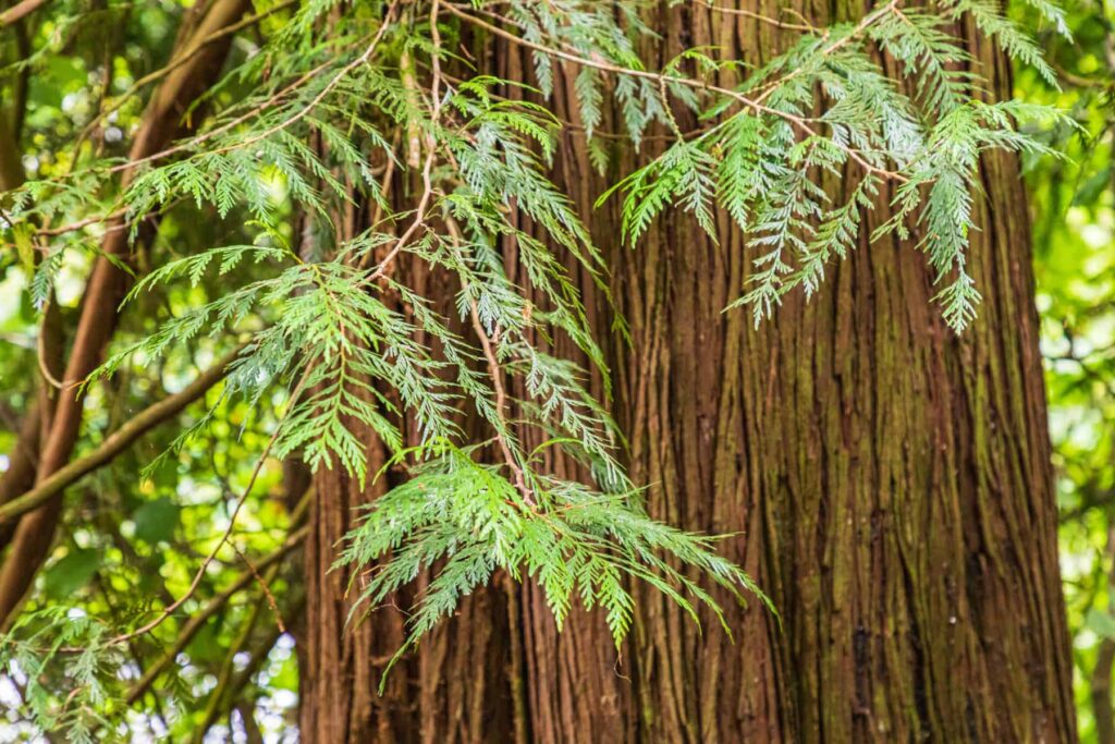 adobestock 290387727 scaled 1