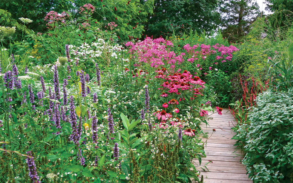 fg194 pollinatorgarden 2