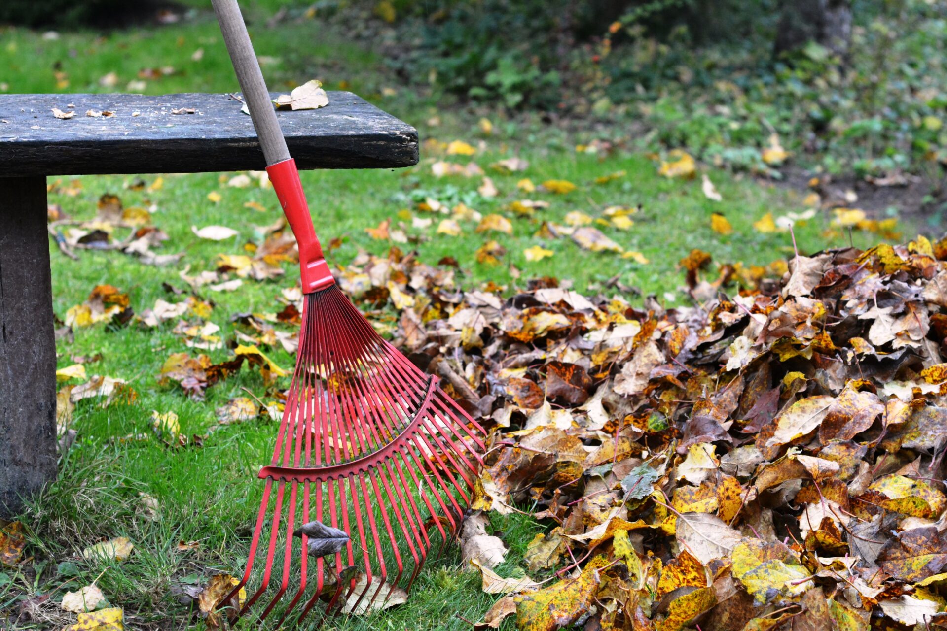 ideas for cleaning up your garden
