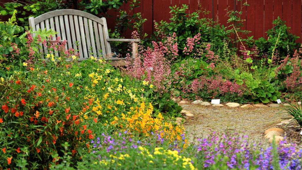 pollinator garden california native plant society flickr cc by 2 web