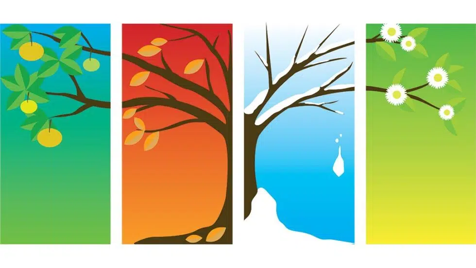 how to build a seasonal marketing plan 980x552 1