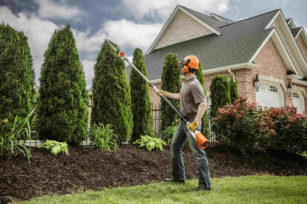 tree trimming landscaping how to
