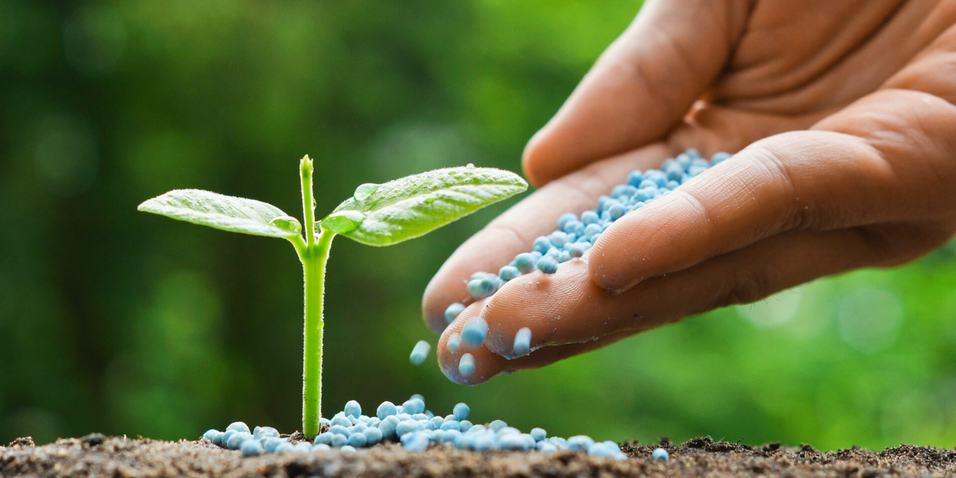 how often do you apply liquid fertilizer 1920x960 1