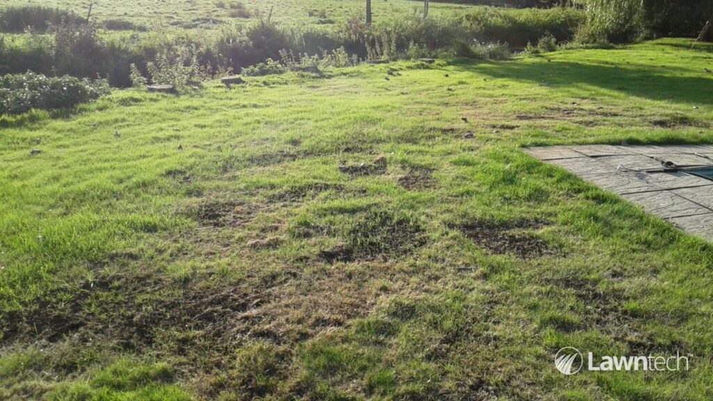 lawntech uneven lawns 1 wm