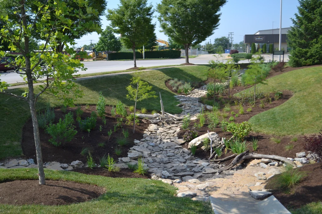 raingarden