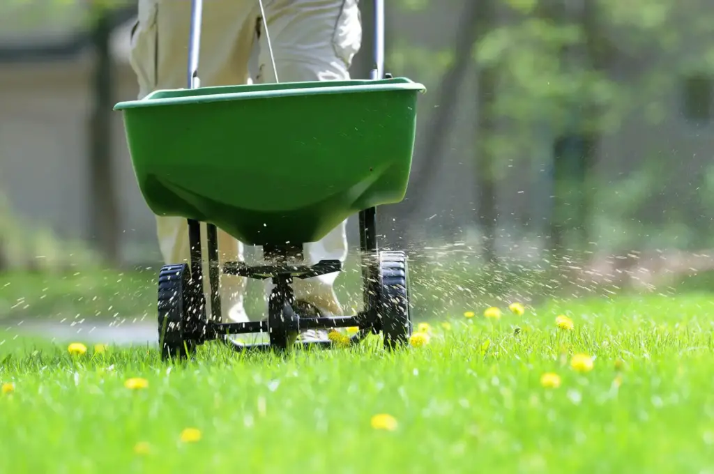 tips for fertilizing your lawn