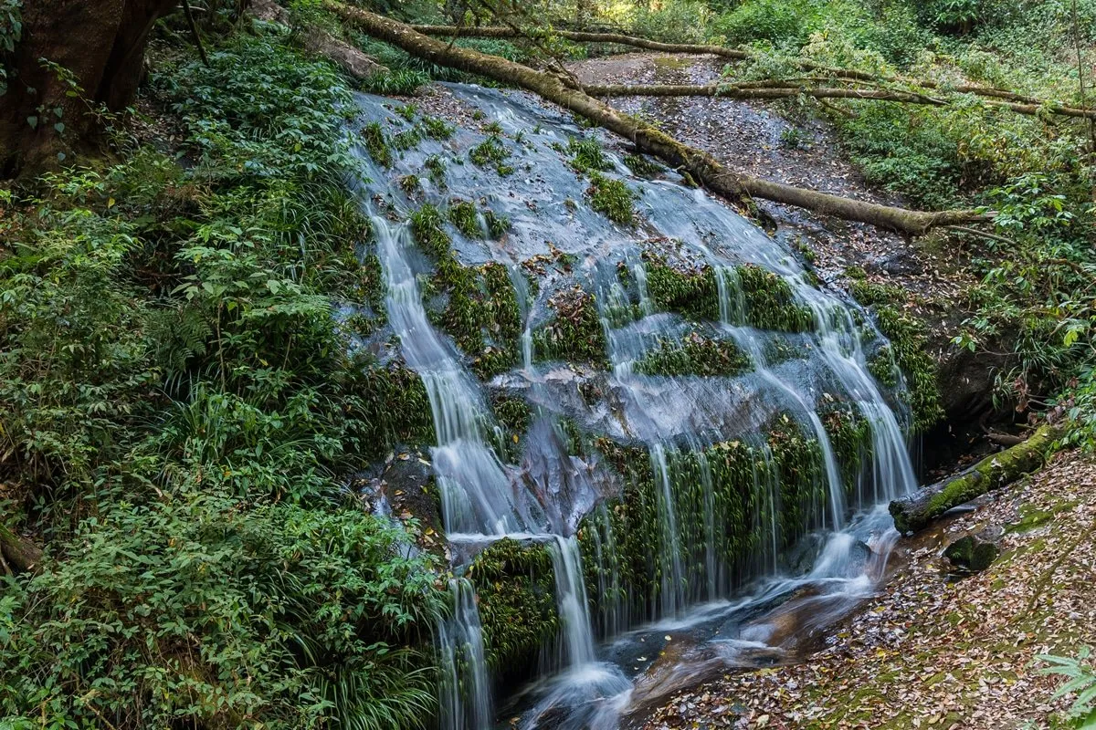 worried about rainwater off a slope flooding your home