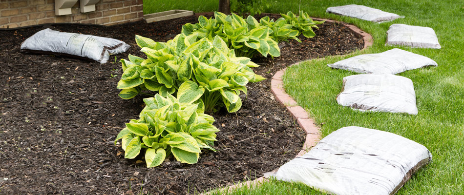 content mulch being added to a landscape bed