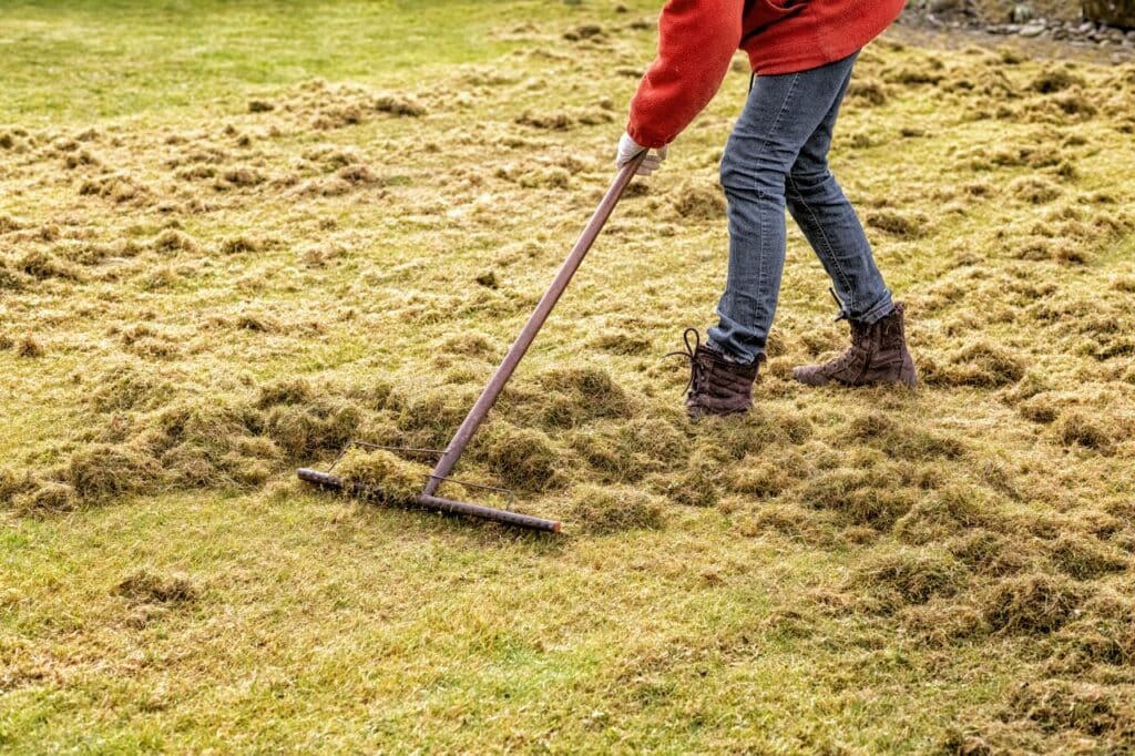 de thatching expert advice 1024x682 1