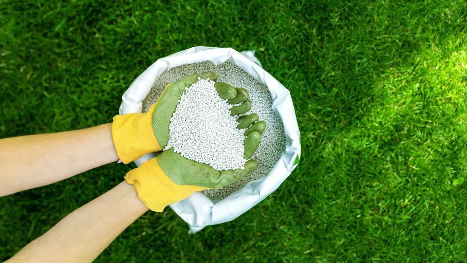 featured image fertilizer.jpeg