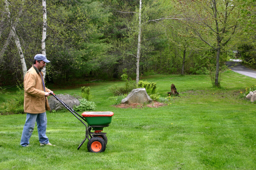 fertilize your lawn
