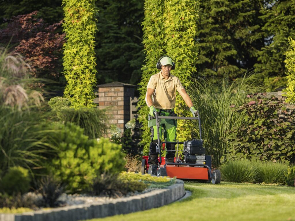 garden lawn maintenance scaled 1