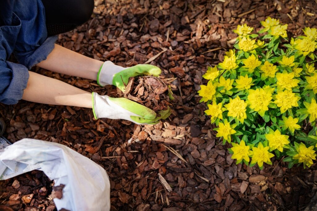 gardener mulching gardenbed 1030x687 1