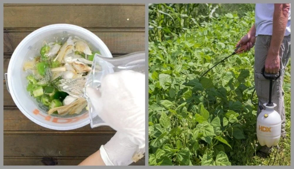hot pepper garlic spray 1000x575 1