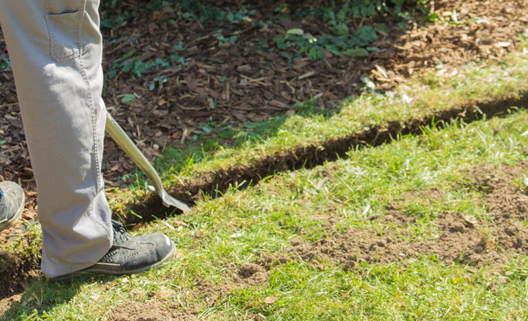 How To Install Edging For A Clean Landscape Look | Step-by-Step Guide