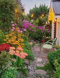 images 1 1