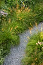 images 7