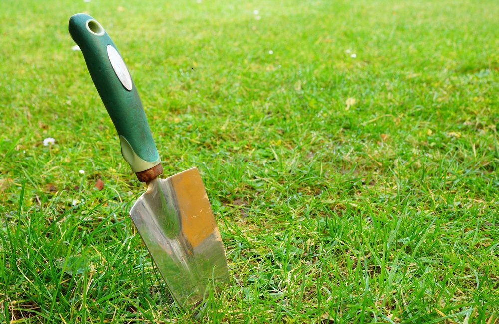 improving lawn health