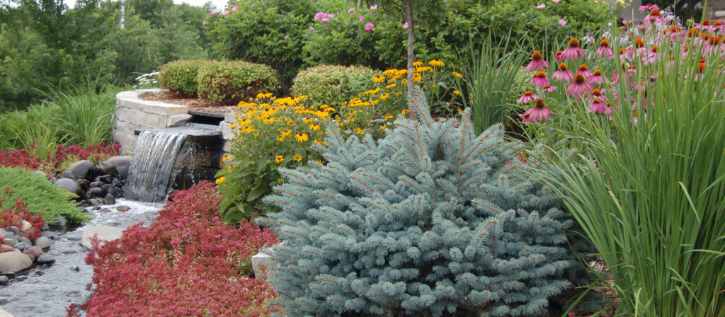landscaping softscaping banner 1600